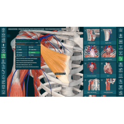 3D Organon for your mobile | Standard