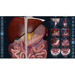 3D Organon VR Anatomy for your Standalone VR headset | Standard