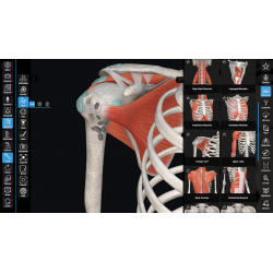 3D Organon for your mobile | Standard