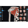 3D Organon VR Anatomy for your Standalone VR headset | Standard