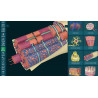 3D Organon for your mobile | Standard