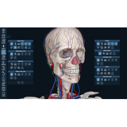 3D Organon for your mobile | Standard