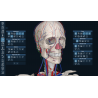 3D Organon VR Anatomy for your Standalone VR headset | Standard