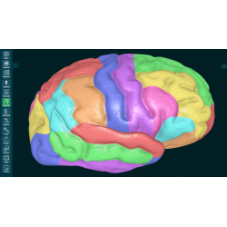 3D Organon for Students