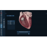 3D Organon Anatomy for Students