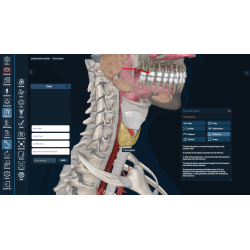 3D Organon Anatomy for Students