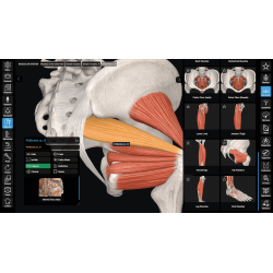 3D Organon for Students
