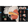 3D Organon Anatomy for Students