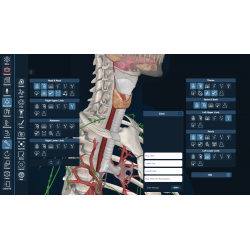 3D Organon for Students
