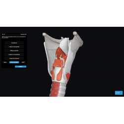 3D Organon for Students