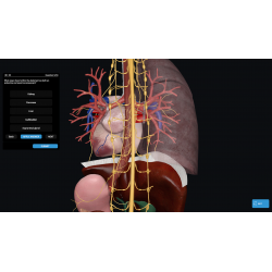 3D Organon Anatomy for Students