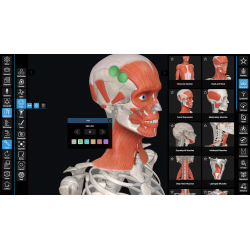 3D Organon for Students