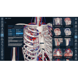 3D Organon Anatomy for Students