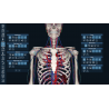 3D Organon Anatomy for Students