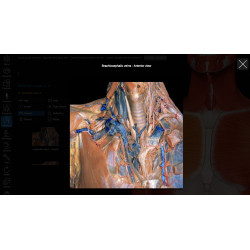 3D Organon for Students