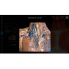 3D Organon for Students