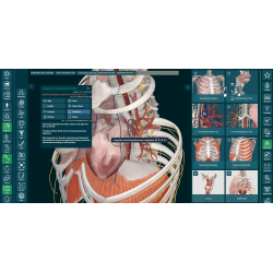 3D Organon for Students
