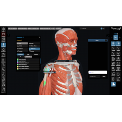 3D Organon for Students
