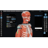 3D Organon for Students