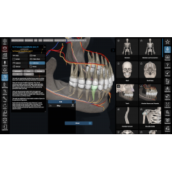 3D Organon Anatomy for Students