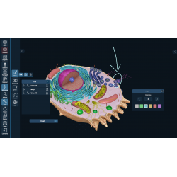 3D Organon Anatomy for Students