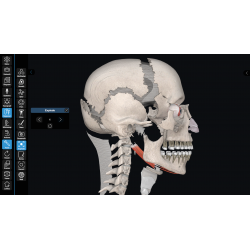 3D Organon Anatomy for Students