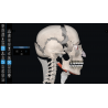 3D Organon for Students