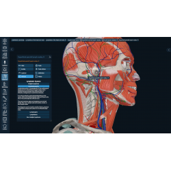 3D Organon for Students