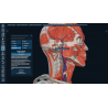 3D Organon for Students