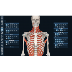 3D Organon Anatomy for Students