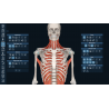 3D Organon for Students