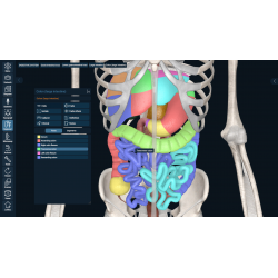3D Organon Anatomy for Students