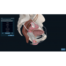 3D Organon Anatomy for Students