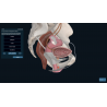 3D Organon for Students