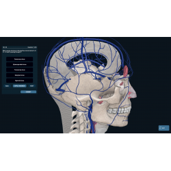 3D Organon for Students