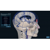 3D Organon for Students