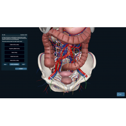 3D Organon Anatomy for Students
