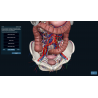3D Organon for Students