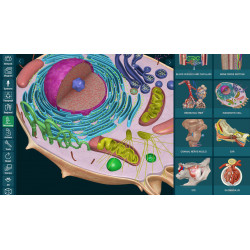 3D Organon Anatomy for Students