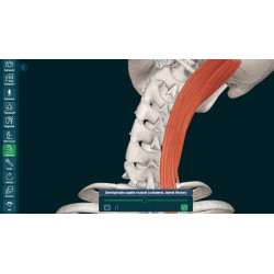 3D Organon for Students