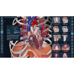 3D Organon for your mobile | Standard