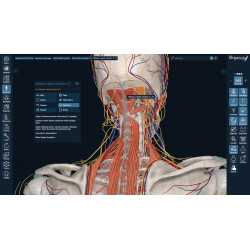 3D Organon VR Anatomy for your Standalone VR headset | Standard