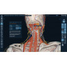 3D Organon for your desktop | Standard