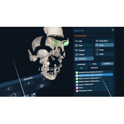 3D Organon VR Anatomy for your Standalone VR headset | Standard