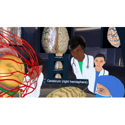 3D Organon XR for your Standalone VR headset | Standard