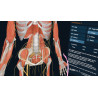 3D Organon XR | Standard