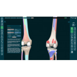 3D Organon for Professionals