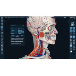 3D Organon Anatomy for Professionals